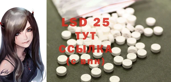 ГАЛЛЮЦИНОГЕННЫЕ ГРИБЫ Абаза