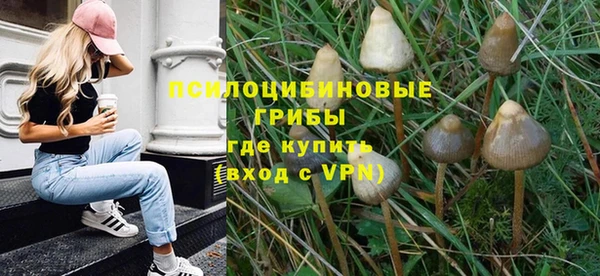 твердый Абинск