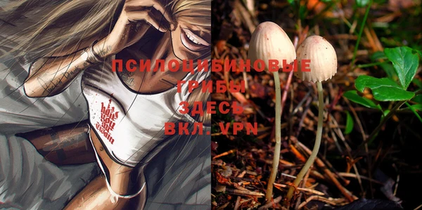 твердый Абинск