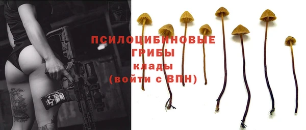 твердый Абинск