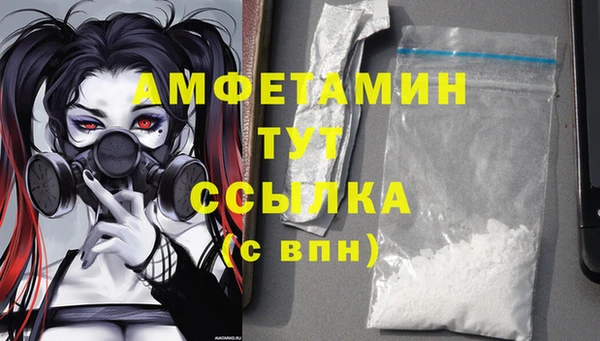 ГАЛЛЮЦИНОГЕННЫЕ ГРИБЫ Абаза