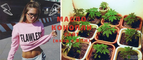 ГАЛЛЮЦИНОГЕННЫЕ ГРИБЫ Абаза