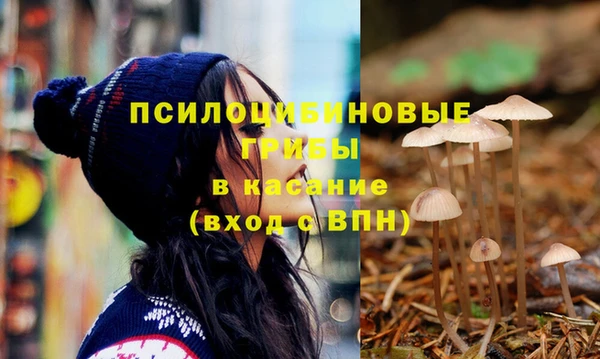 ГАЛЛЮЦИНОГЕННЫЕ ГРИБЫ Абаза