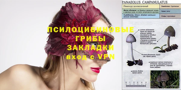 ГАЛЛЮЦИНОГЕННЫЕ ГРИБЫ Абаза